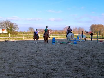 Horse riding on site