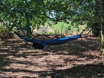 Relax in a hammock in the shade of an oak tree