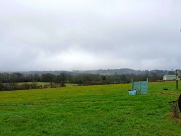 Main site field