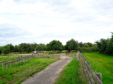 Around the site