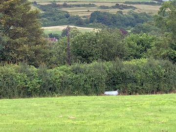 View over the surrounding countryside