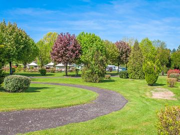 Pitches among the trees