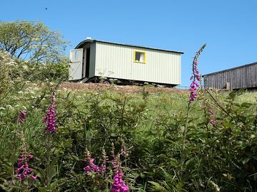 Looking up at the shepherd's hut