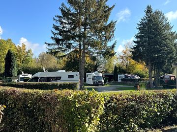 Beautiful in every season