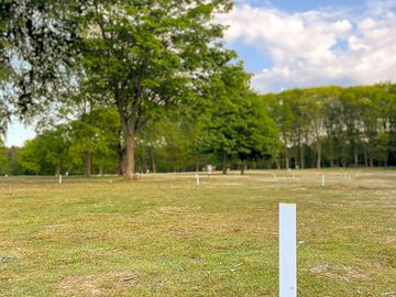 Grass pitch