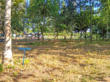 Shaded grass and earth pitch with view of the aeroplane