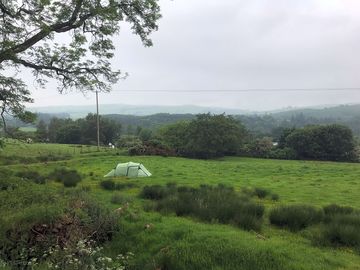 Find your own spot on the two-acre wild site