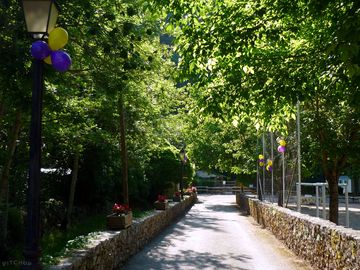 Main drive at the campsite