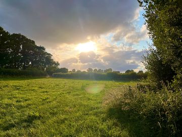 Sunset over the field