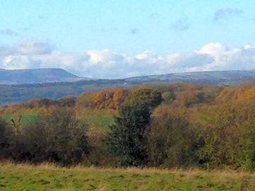 View from the site