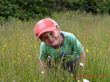 Checking out the wildflower meadow