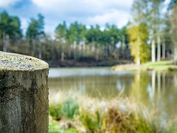 Peaceful lake view