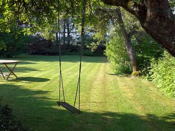 Part of the garden with a swing