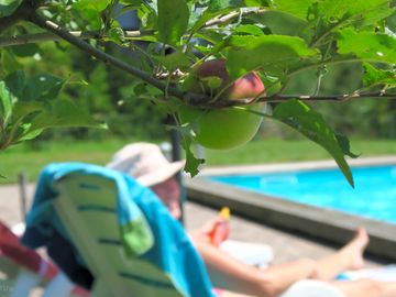 Relax by the pool