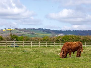 Lovely views of the yorkshire wolds