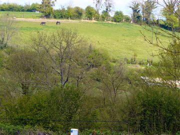 Views from the site