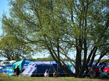 Camping field