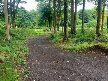 Track to the pitches