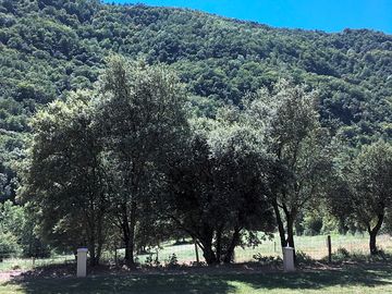 View from the site