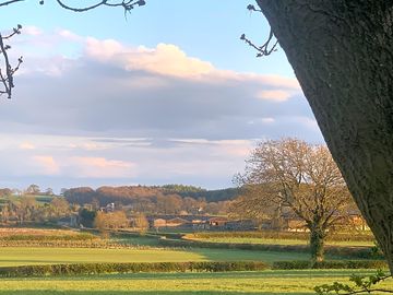 The farm
