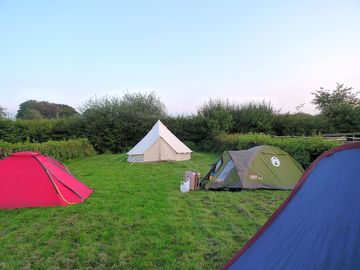 Grass tent pitch area