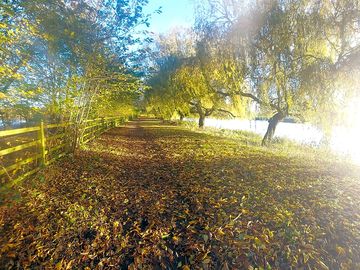 Riverside walks in north muskham