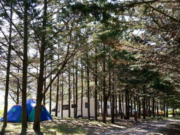 Camping pitches