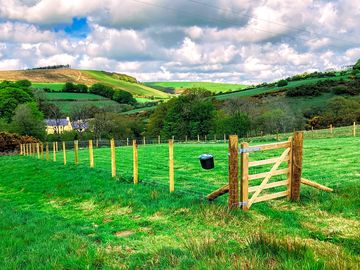 45mx 25m dog paddock