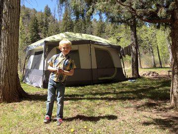 Grass pitches among the trees