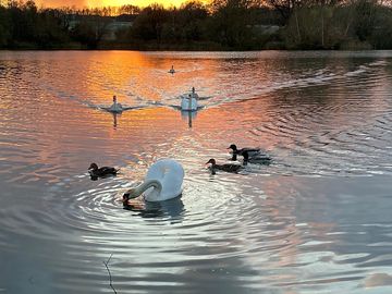 Take a walk by the beautiful great lake at sunset
