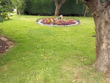 The garden area