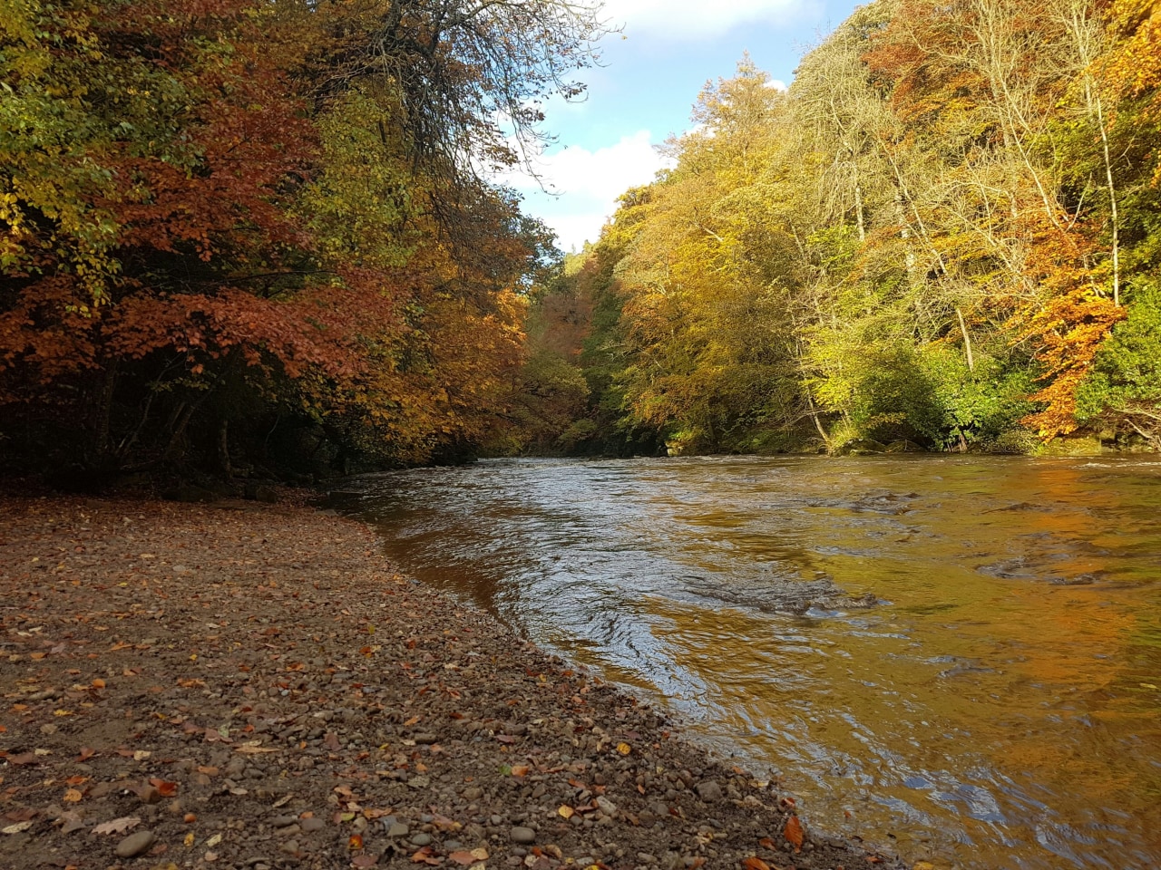 Autumn scenery in Northumberland (Daniel Bell/Unsplash)