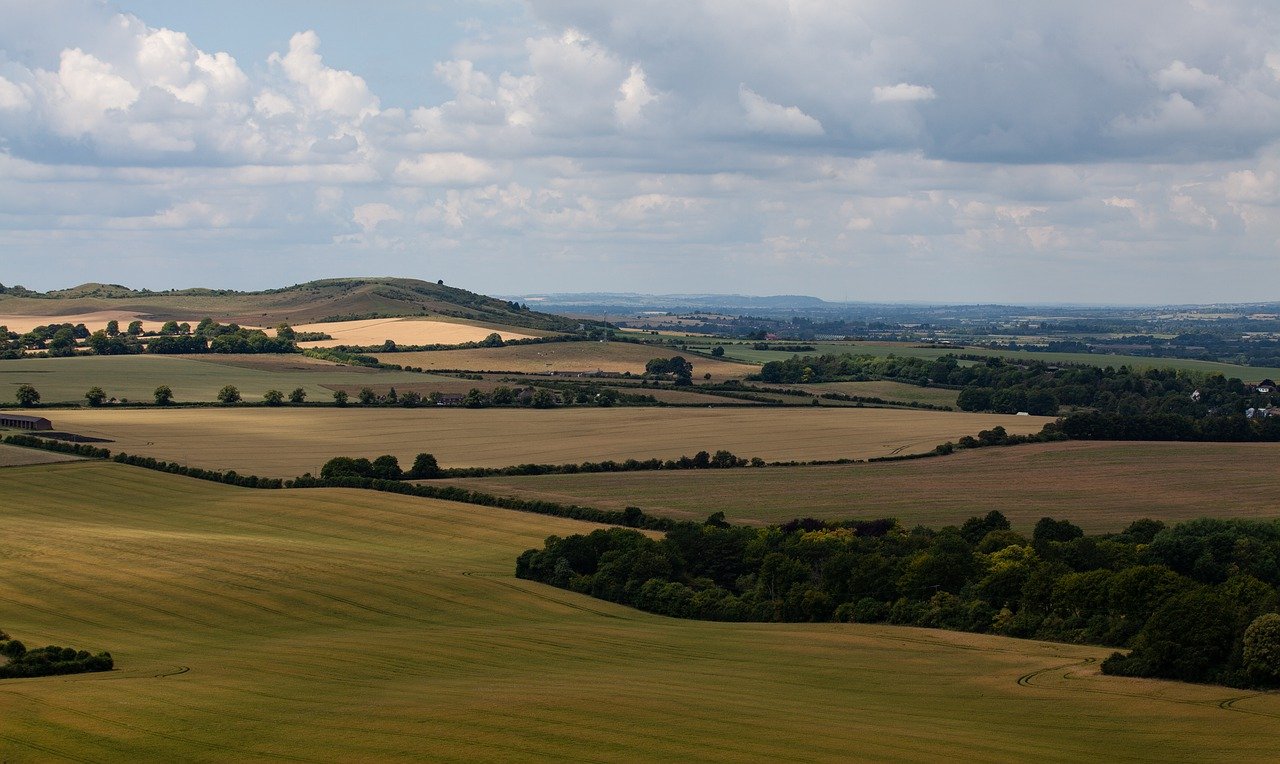 The Chilterns Roll on the Chilterns…
