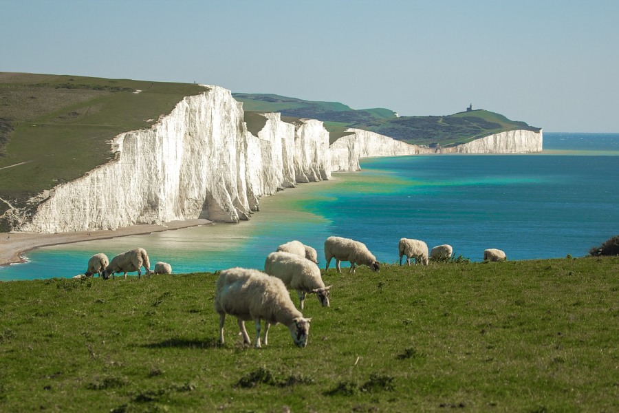 The Seven Sisters, South Downs National Park (diego_torres/Pixabay)