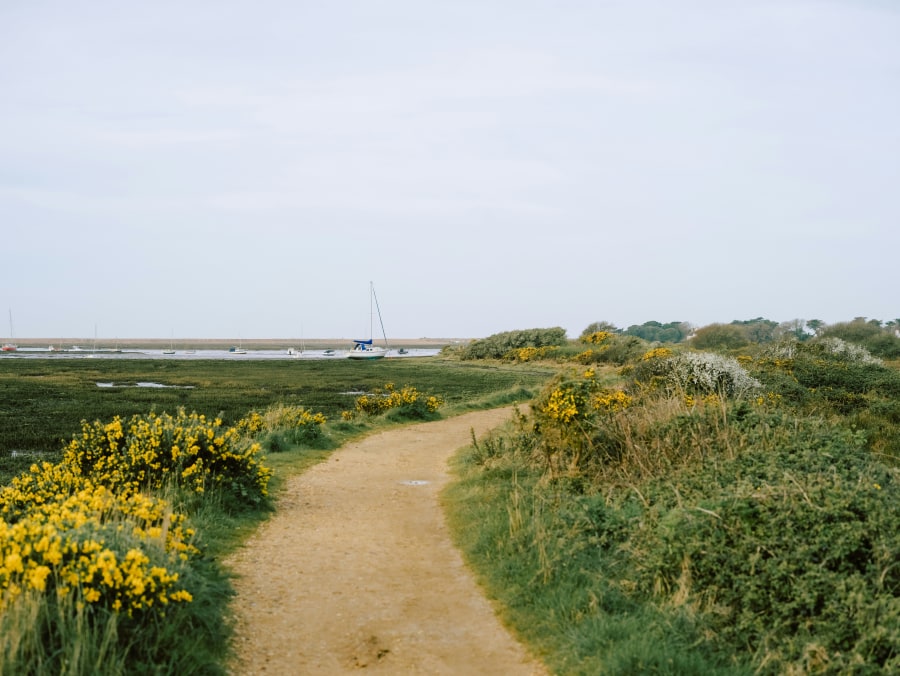 Keyhaven, near Milford on Sea (Annie Spratt/Unsplash)