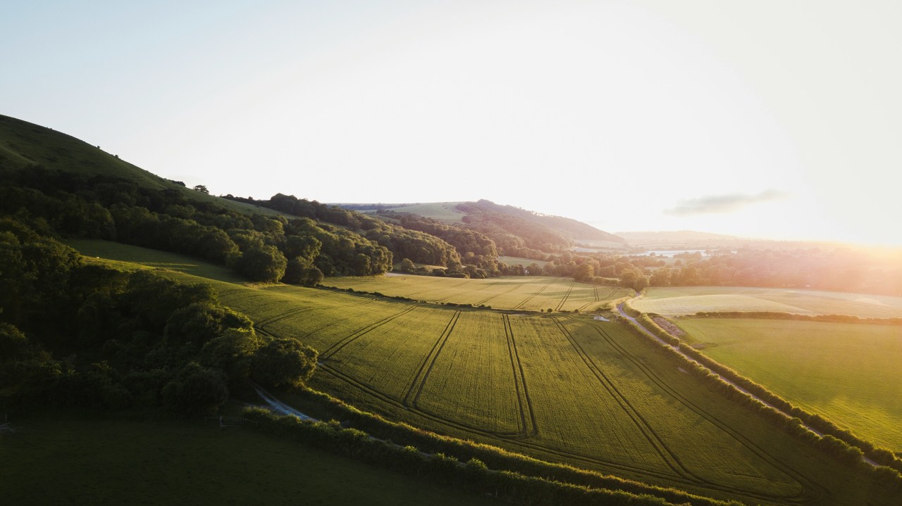The green hills of the South Downs National Park (Sam Knight/Unsplash)