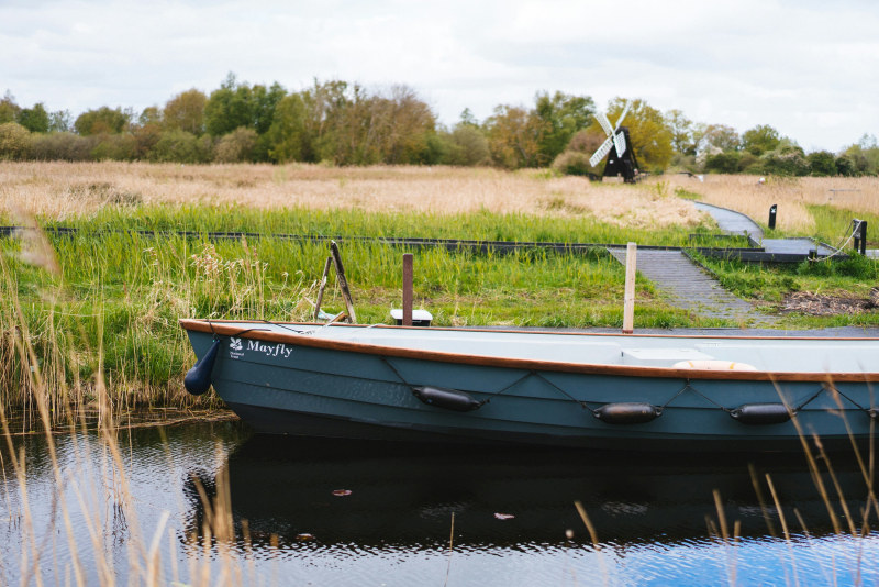 The watery landscapes of Wicken Fen (Phil Hearing/Unsplash)