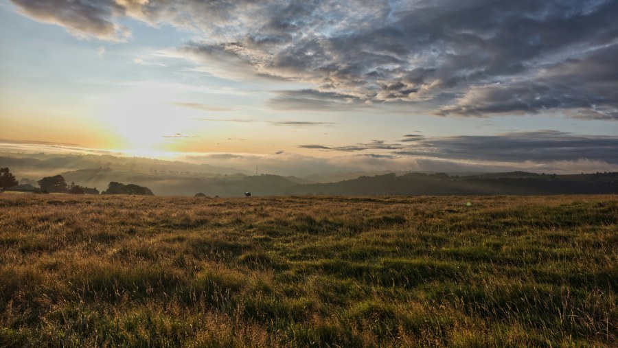 Sunrise on the North York Moors (Andy Carne/Unsplash)
