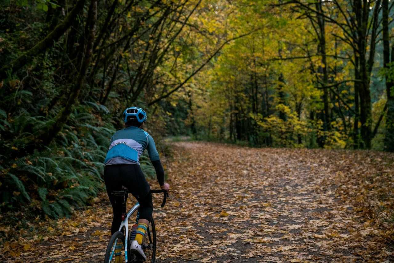 Cycling is a wonderful way to explore the varied scenery of the North York Moors National Park (Ben Guernsey/Unsplash)