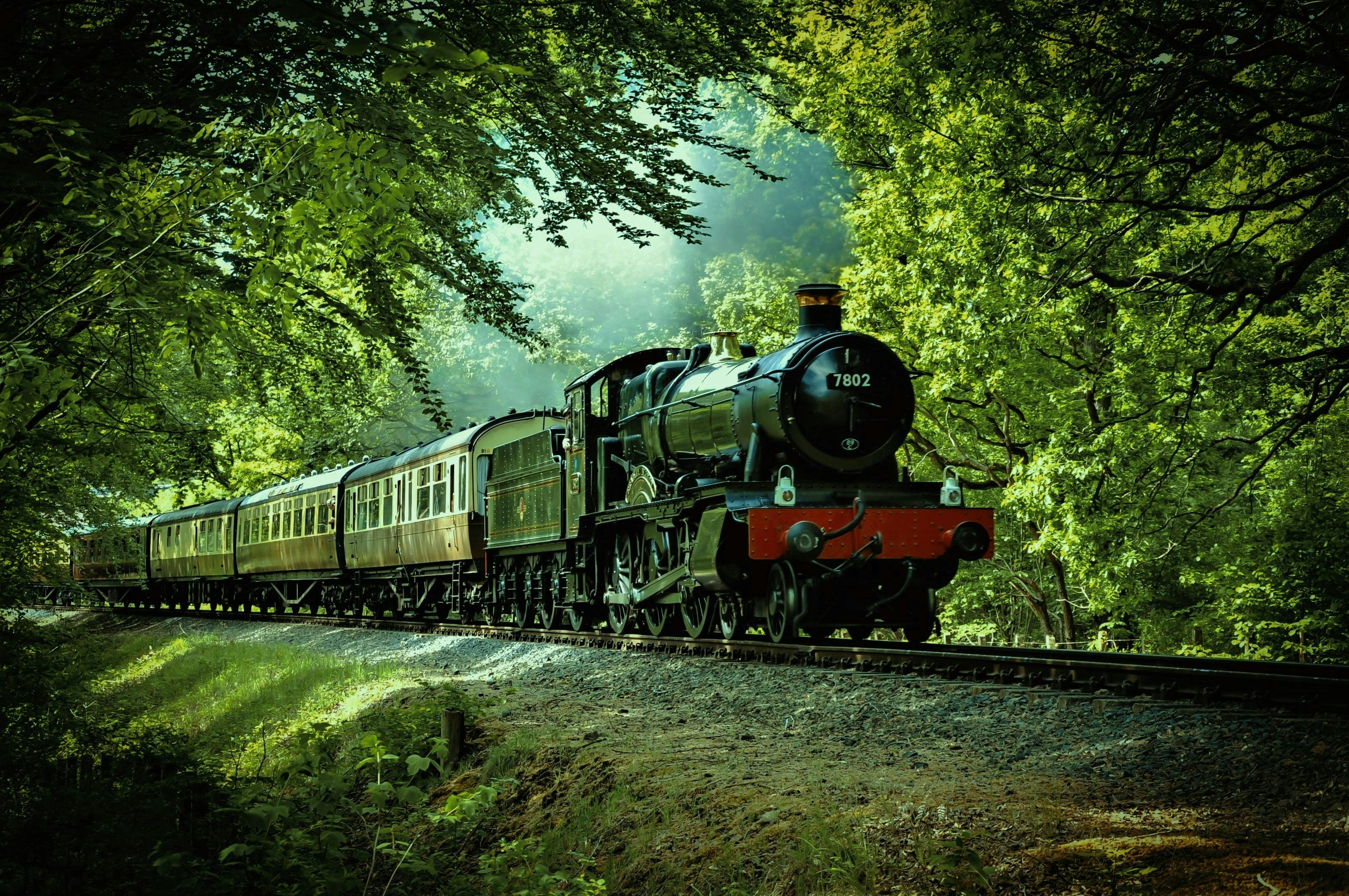 The Severn Valley steam train chugging through forest near Bewdley (Denis Chick/Unsplash)