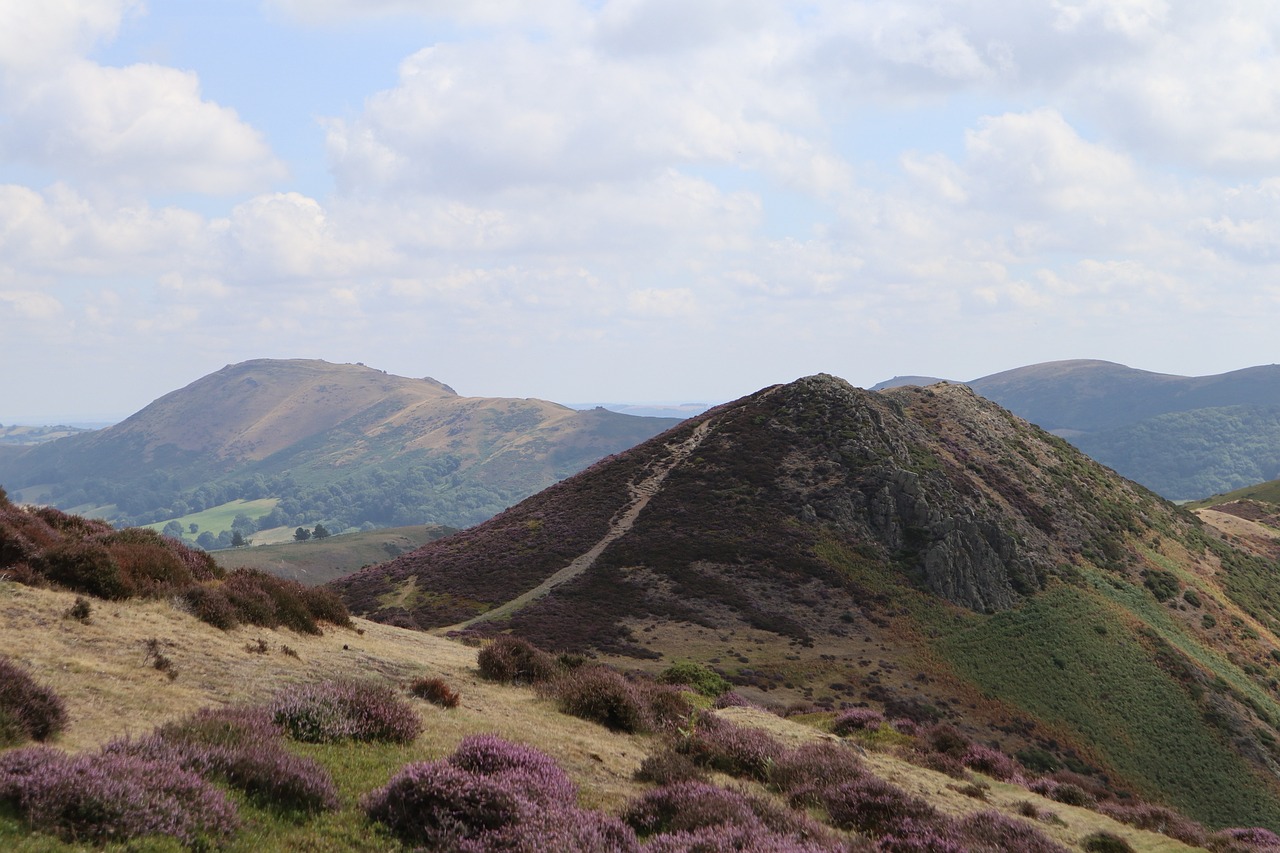 Long Mynd is one of the most popular walking areas in Shropshire