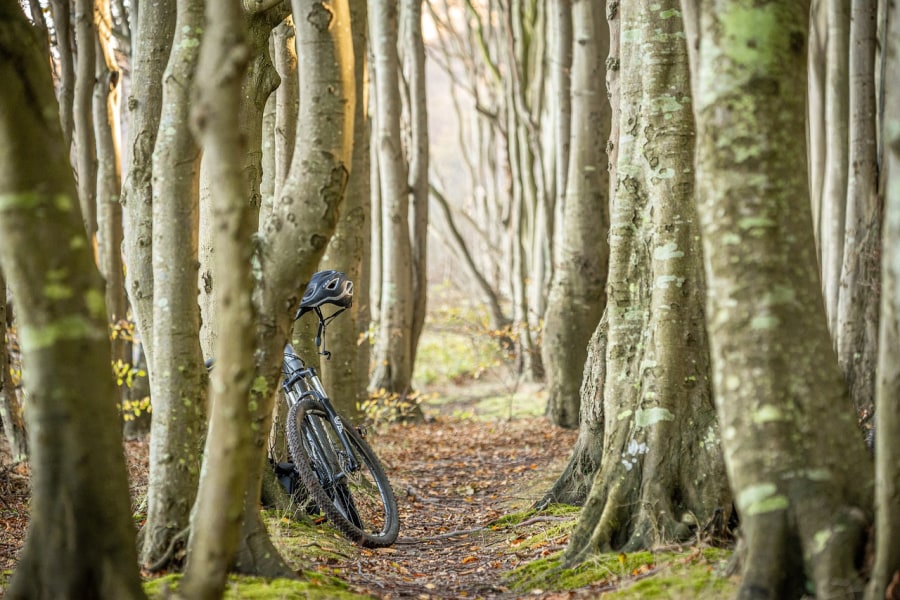 Find bike hire, repair shops and other services in Dartmoor (Matthias Kost/Pixabay)