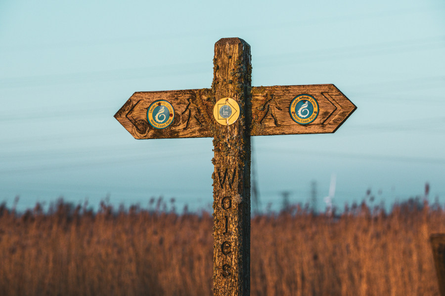 Angle to Freshwater West – one of the best sections of the Pembrokeshire coast path (Mike Erskine/Unsplash)