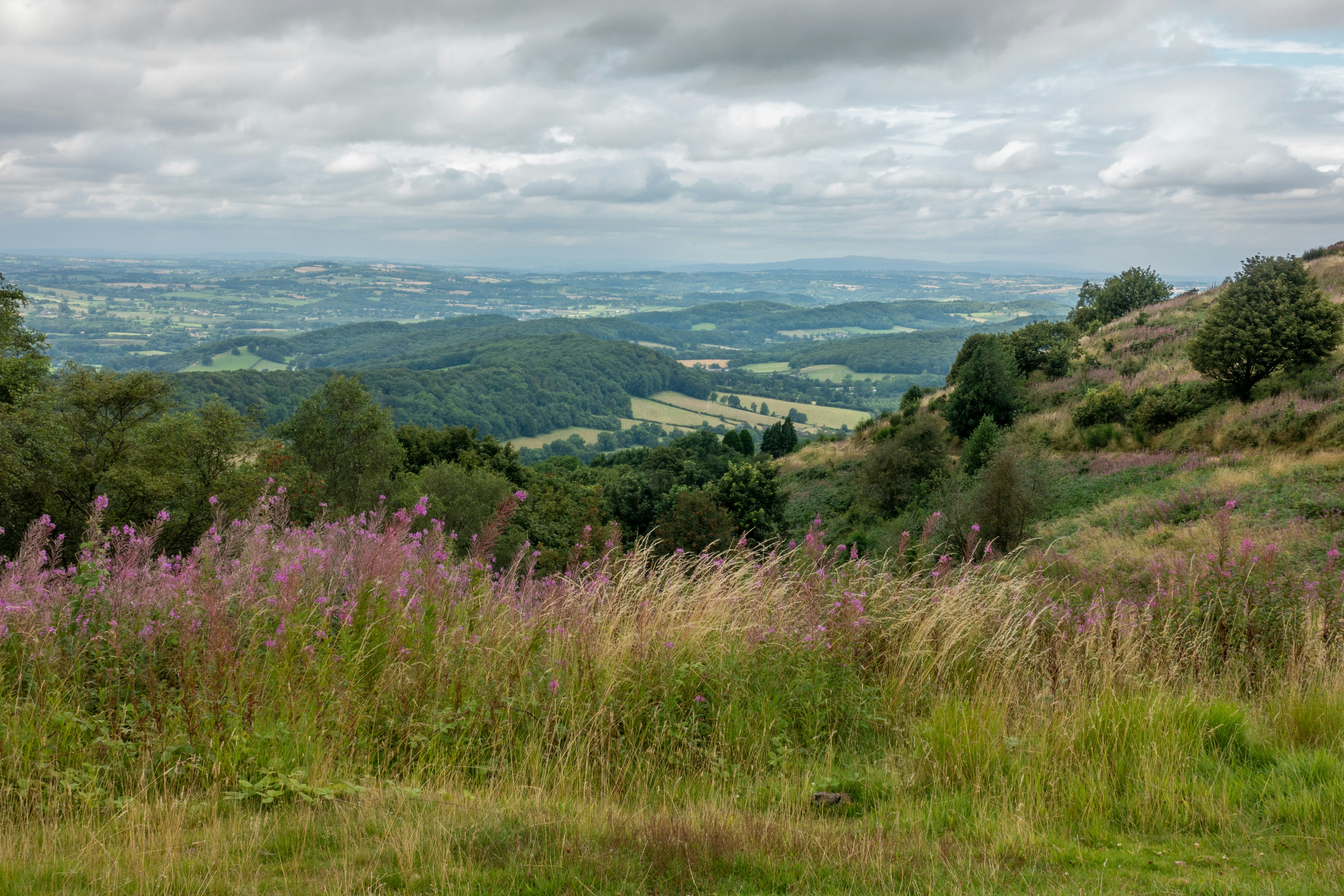 Far-reaching views over the Malvern HIlls (Christopher Eden/Unsplash)