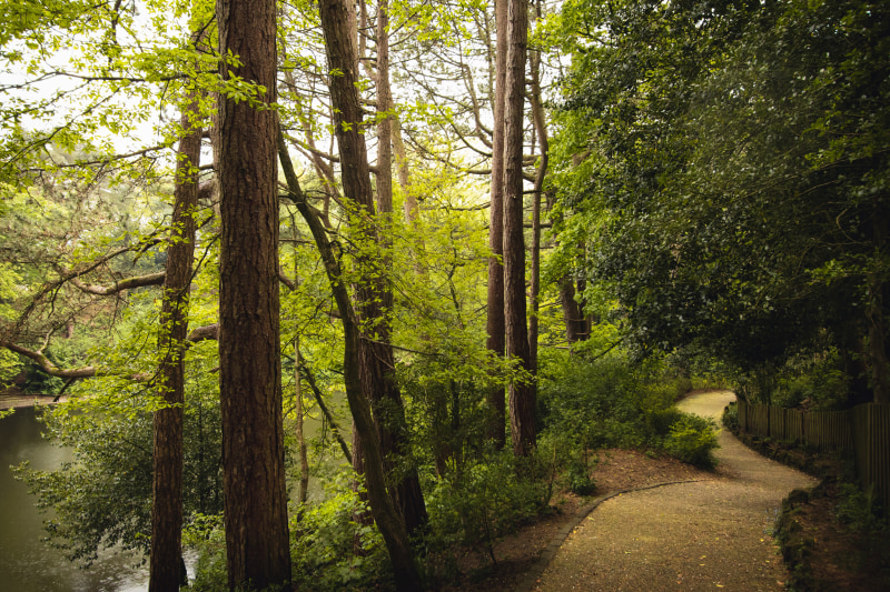 Pathways of Williamson Park (Tom Morbey on Unsplash) Pathways of Williamson Park (Tom Morbey on Unsplash)