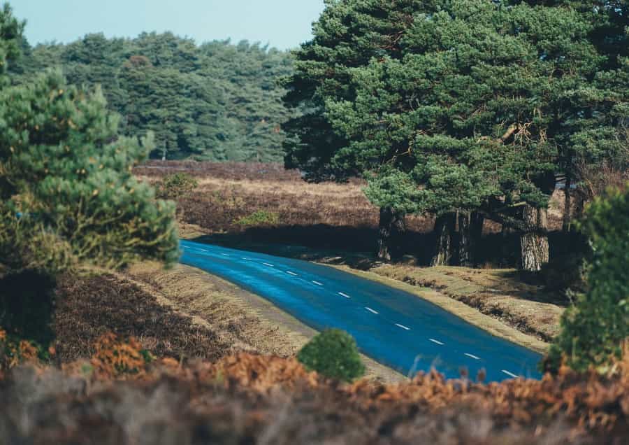 On the way to Hatchet Pond (Annie Spratt/Unsplash)