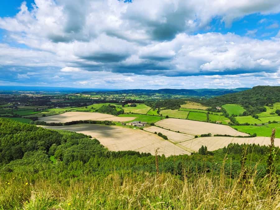 View from Sutton Bank (Cristofer Sewell/Unsplash)