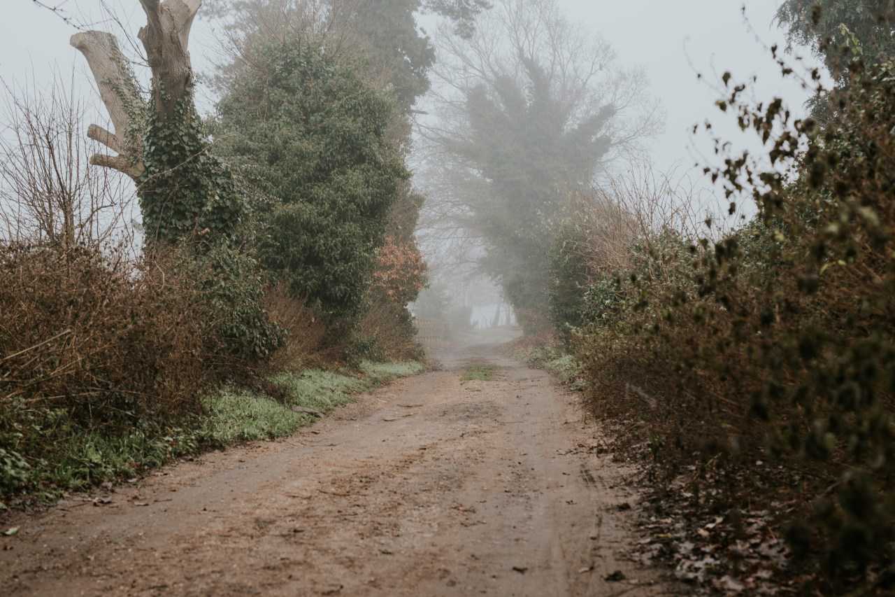 A misty morning walk in Suffolk (Katarzyna Korobczuk on Unsplash)