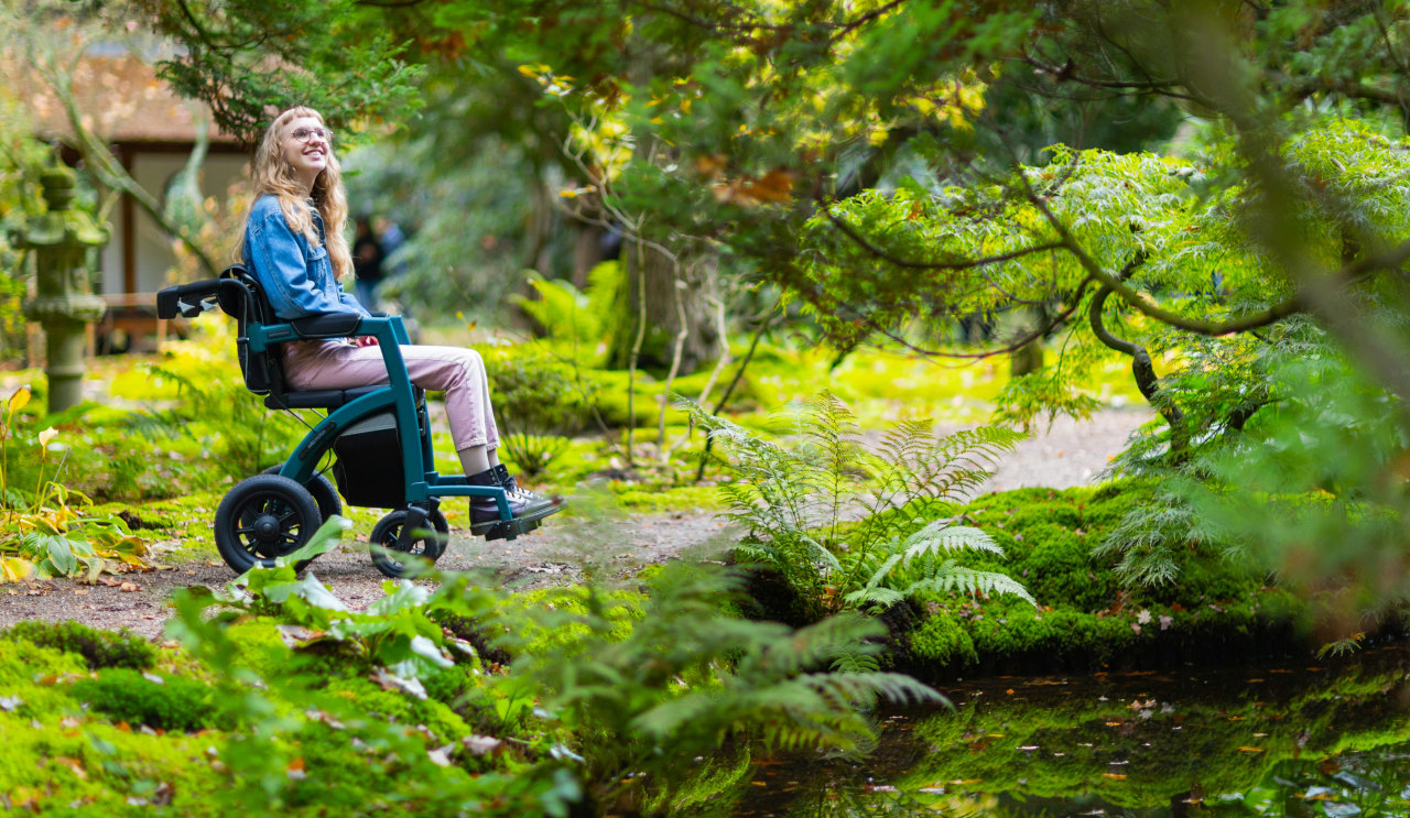 Book a New Forest campsite for your next accessible holiday (Rollz International/Unsplash)