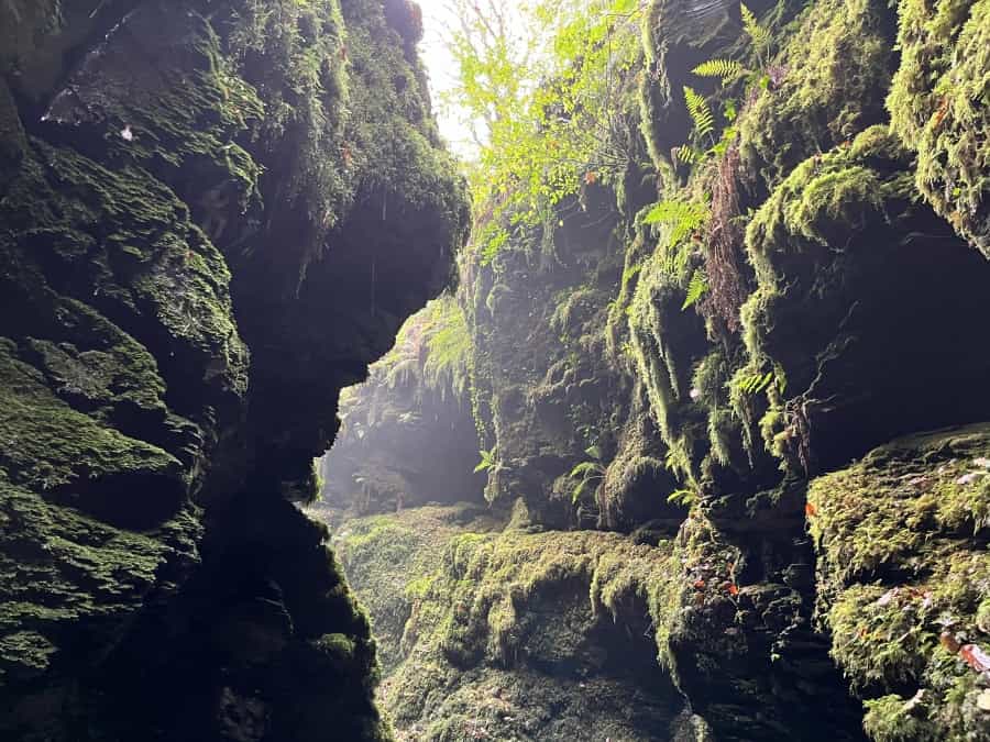 Lydford Gorge (Andy Goldsby/Unsplash)